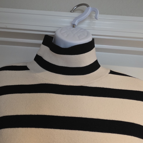 Black and White Striped Turtleneck - Picture 4 of 5